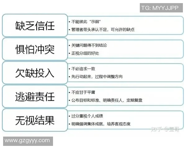 深圳排球队的意识提升与团队协作探讨聚焦排球发展新方向