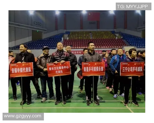 重庆乒乓球队的区域防守策略深度解析与实战应用探讨