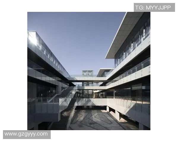 南京排球队的转换体系与战术创新探讨 南京排球队的转换体系与战术创新探讨