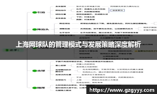 上海网球队的管理模式与发展策略深度解析
