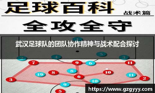 武汉足球队的团队协作精神与战术配合探讨