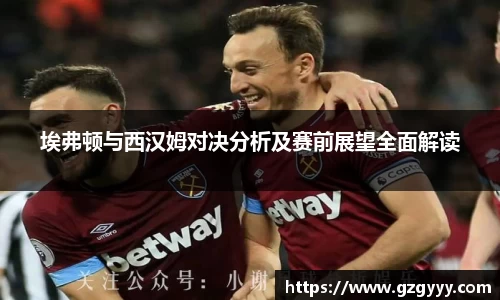 埃弗顿与西汉姆对决分析及赛前展望全面解读