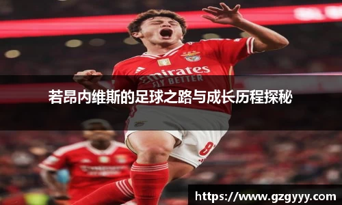 爱游戏ayx官方网站