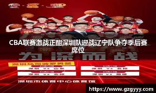 CBA联赛激战正酣深圳队迎战辽宁队争夺季后赛席位